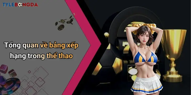 Tổng quan về bảng xếp hạng trong thể thao