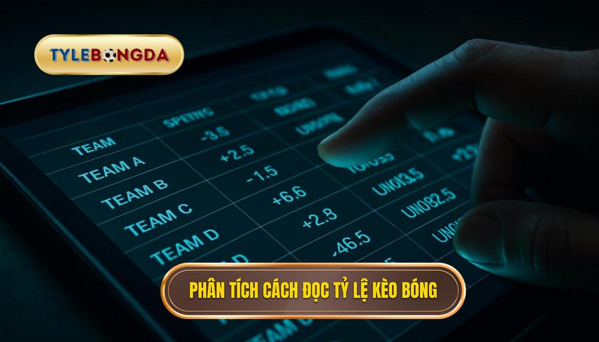 Phân Tích Chuyên Sâu Cách Đọc Tỷ Lệ Kèo Bóng Đá