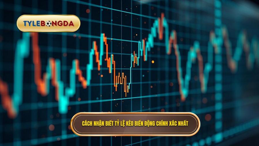 Cách nhận biết tỷ lệ kèo biến động chính xác nhất