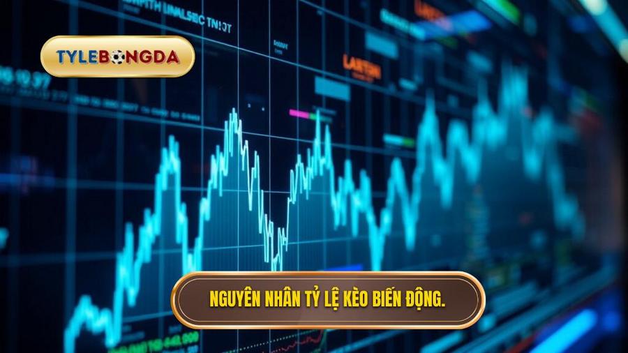 Nguyên nhân tỷ lệ kèo biến động.